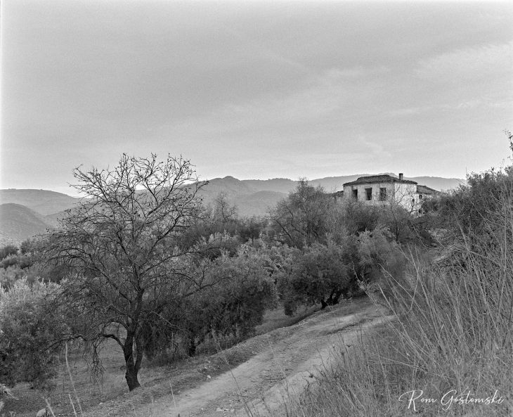 The abandoned cortijo amongst the olive groves