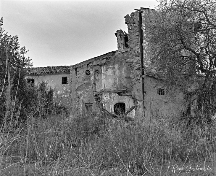 Overgrown